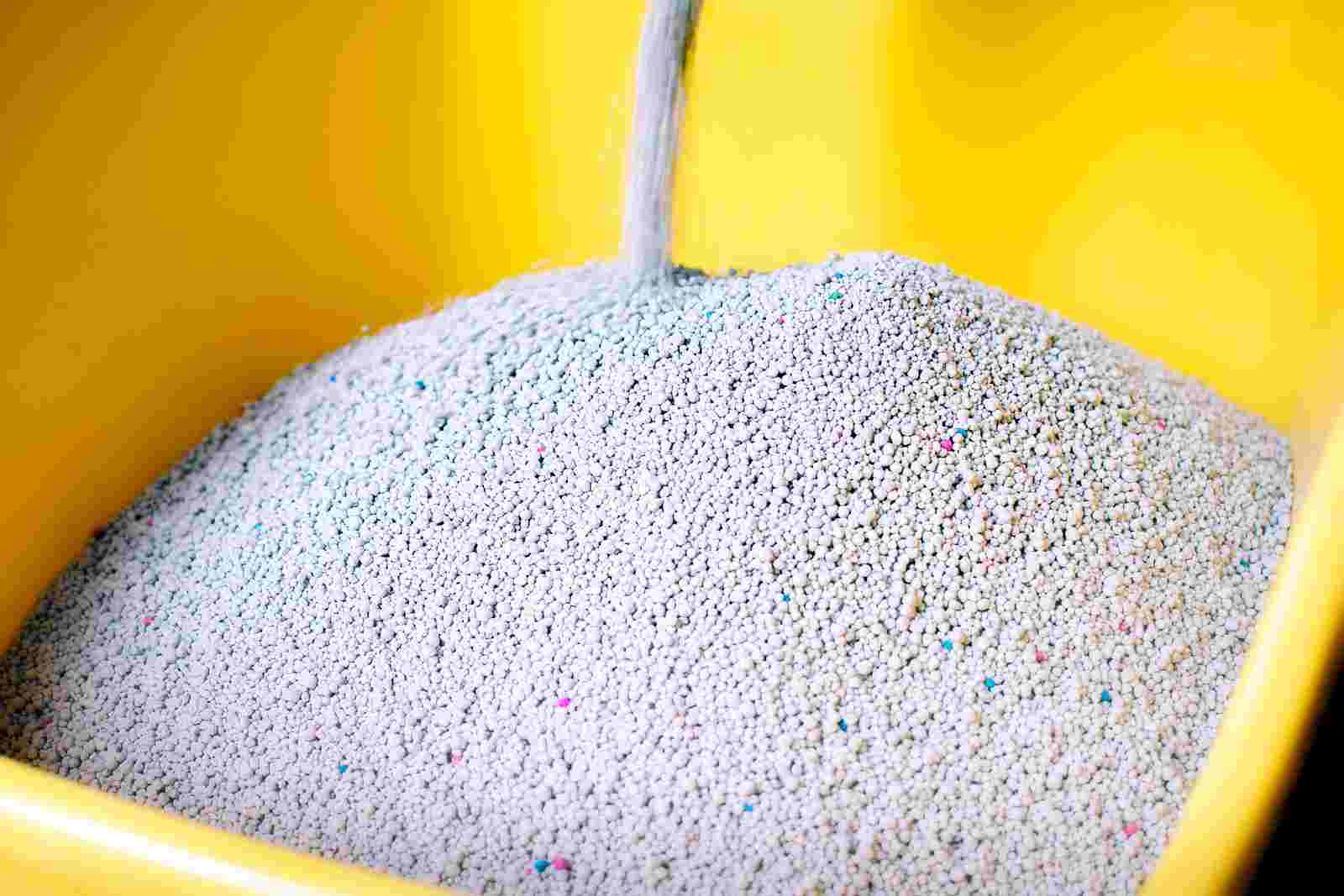 Can Changing Cat Litter Brand Make Cat Sick