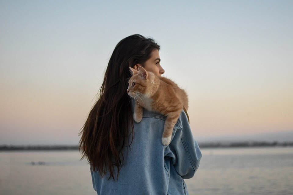 Owner holding cat on her shoulder