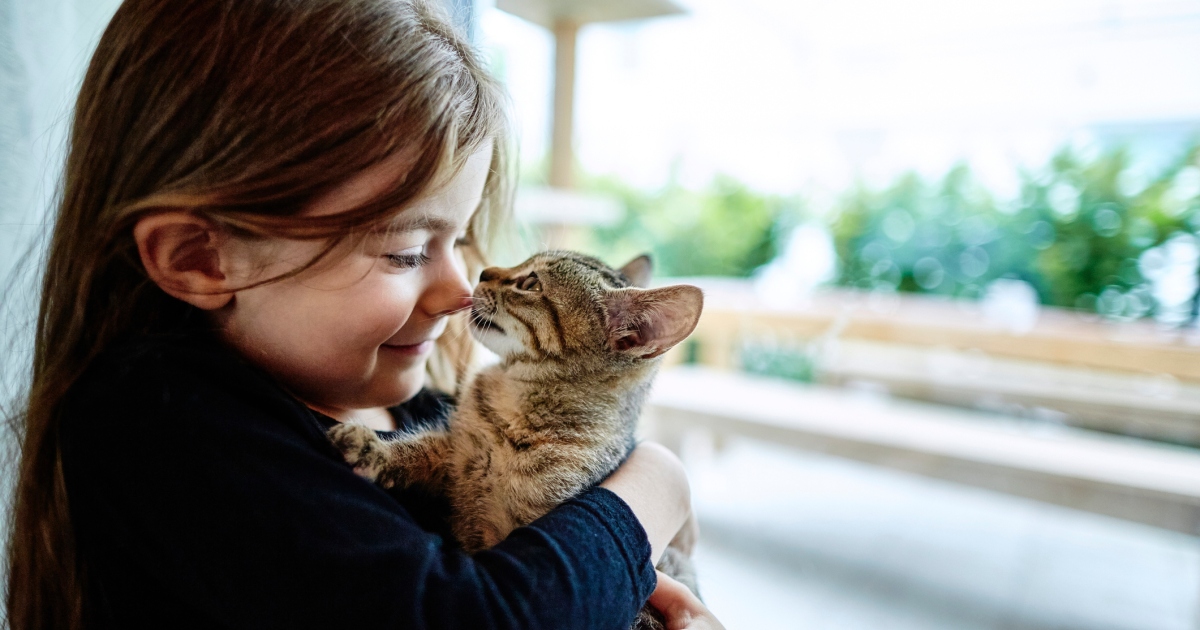Benefits of Cat Ownership for Kids