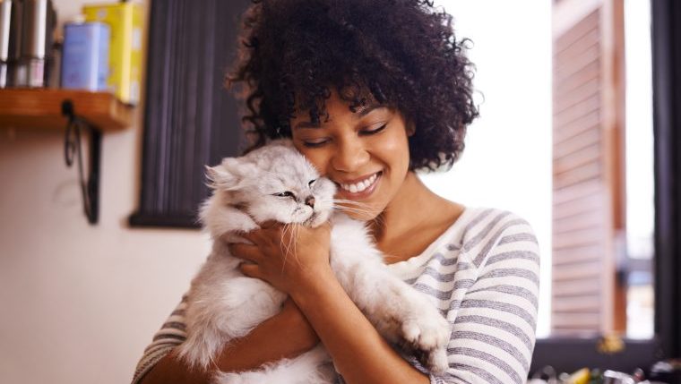 Most and Least Expensive Cities for Cat Sitting