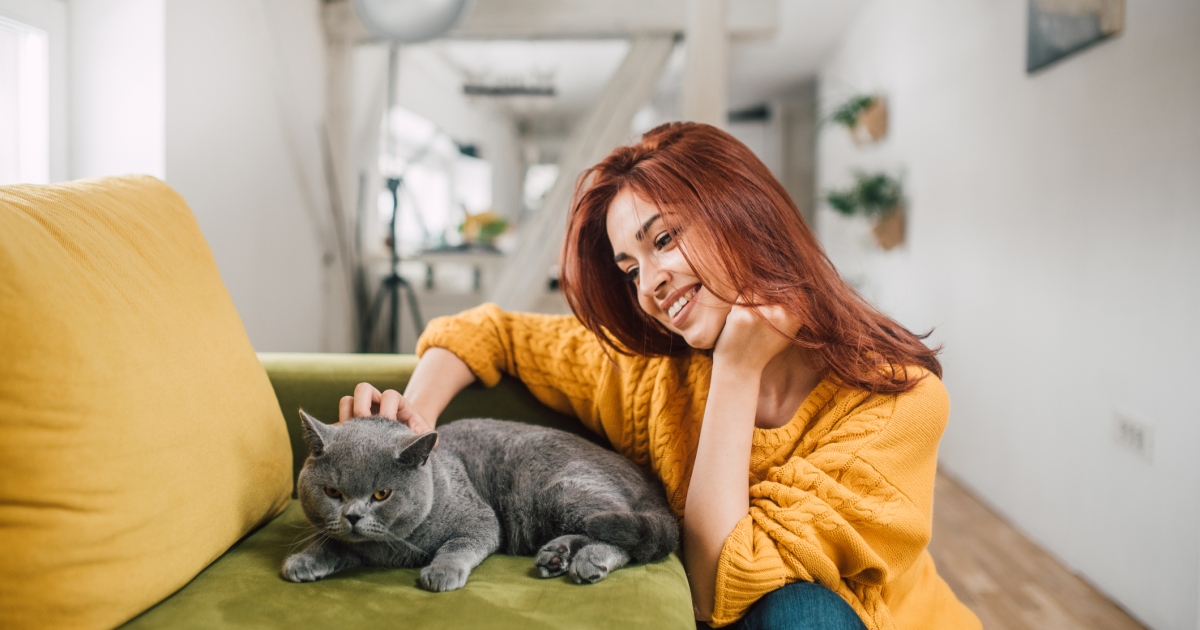 Etiquette Tips for an Exceptional Cat-Sitting Experience