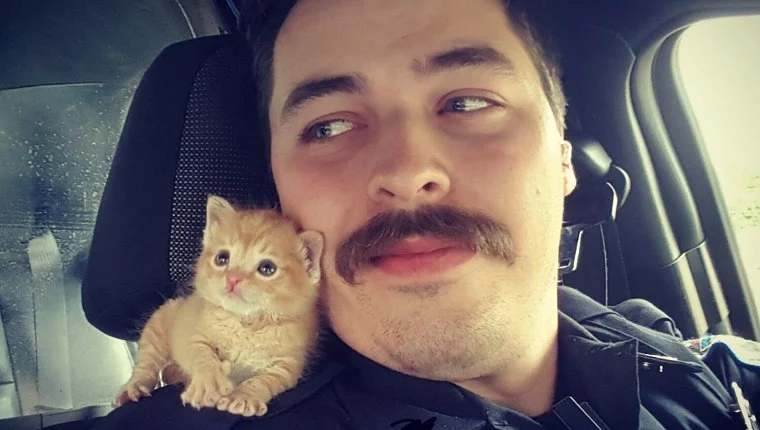 Police Officer Saves Adorable New Kitten Partner Named Squirt