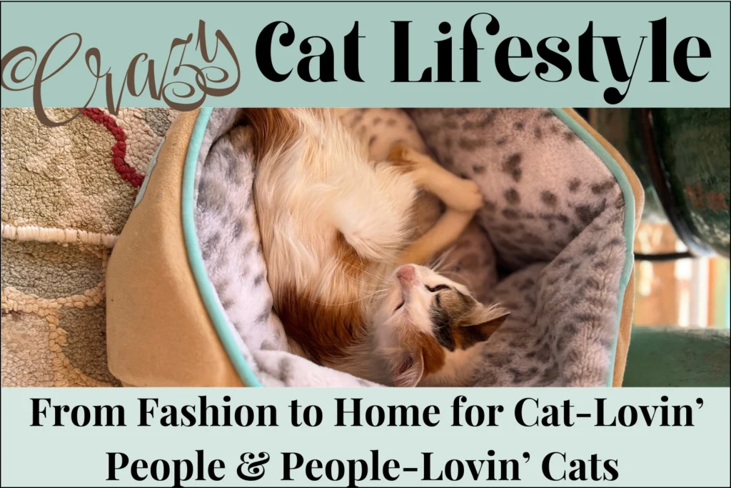 cat-costumes-cat-beds